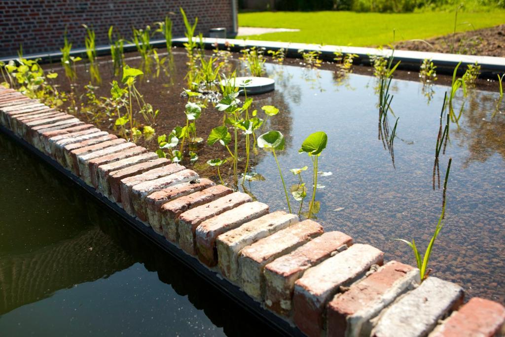 B&B De Deugdzonde Sint-Denijs Экстерьер фото