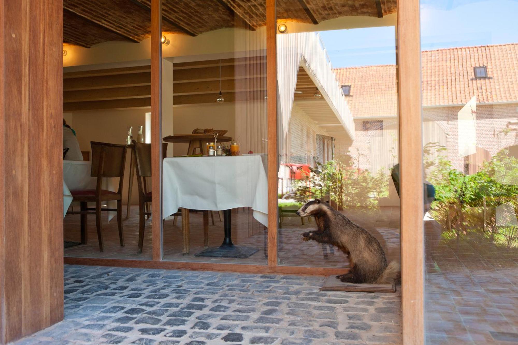 B&B De Deugdzonde Sint-Denijs Экстерьер фото