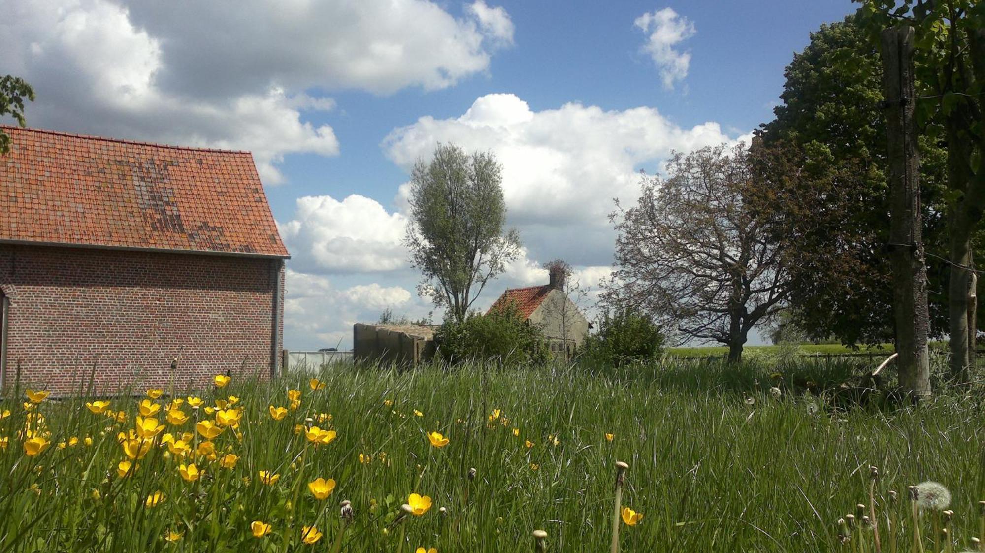 B&B De Deugdzonde Sint-Denijs Экстерьер фото